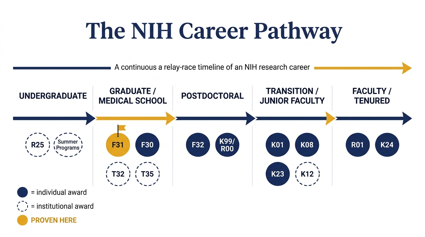 NIH Research Career Pathway Relay timeline showing Undergraduate through Faculty award mechanisms